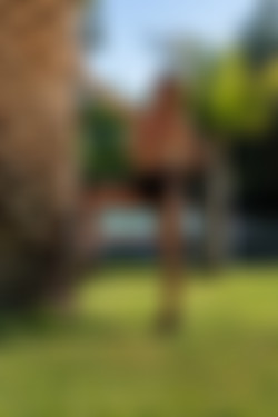 [photodromm.com] 2018-10/[photodromm.com] - 2018.10.26 - Justyna - In The Garden Of Dreams (x50) 2000x3000/06l.jpg