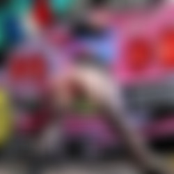 2025-05-13 - adventurous alice.mp4