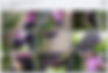 mywetworld.com-2024-09/Screens/Cheeky_blue_leggings_outdoor_wetting_September_2024__1080p.mp4.jpg