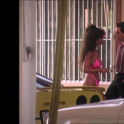The.Bikini.Carwash.Company.1992.1080p.BluRay.REMUX.AVC.FLAC.2.0-STATiK.mkv
