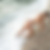 [photodromm.com] 2019-10/[photodromm.com] - 2019.10.16 - Margot - Fine at Dawn (x46) 2000x3000